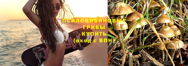 сатива Богданович