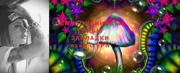 ПСИЛОЦИБИНОВЫЕ ГРИБЫ Беломорск