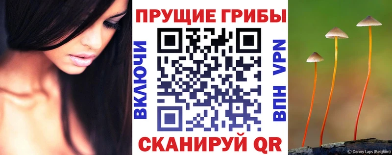 KRAKEN ССЫЛКА  Белоозёрский  Псилоцибиновые грибы мухоморы 